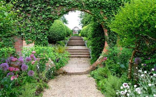 Размещение растений