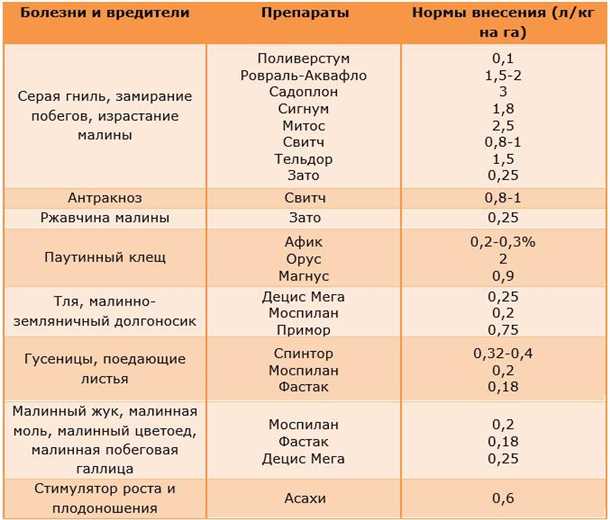 Защита и уход за малиной весной: подкормка и борьба с болезнями и вредителями. Подкормка и обработка малины весной от болезней и вредителей