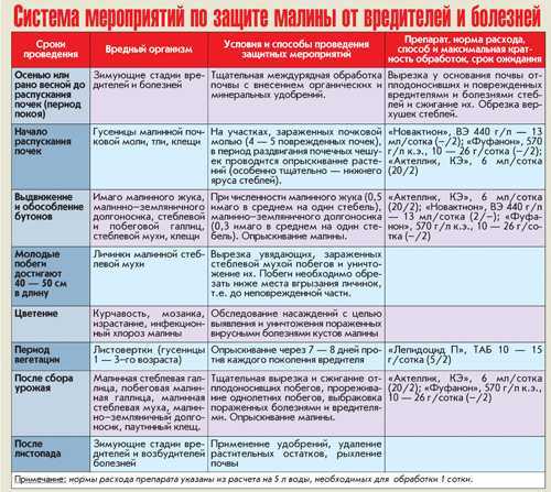 Поливы и подкормки