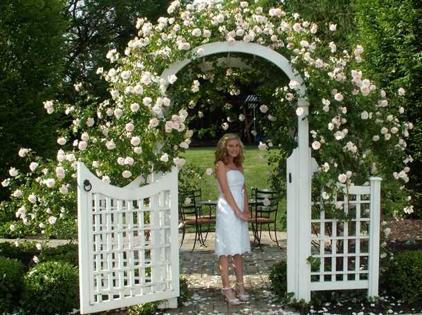 Пергола своими руками (видео)