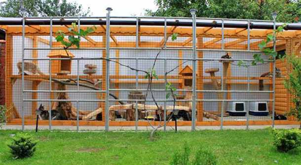 Выбор места для вольера