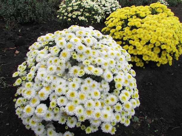 Правила посадки