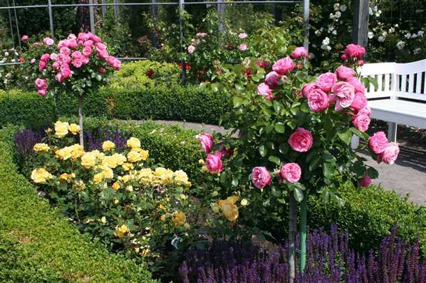 Правила посадки