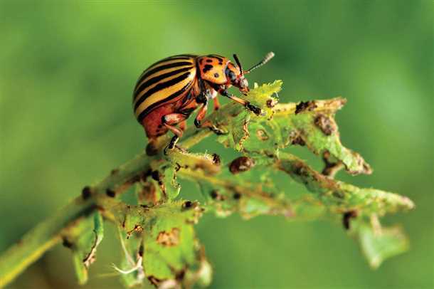 1. Идентификация и мониторинг