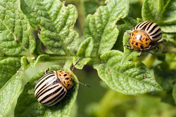 2. Физические методы контроля