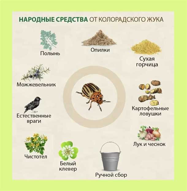 Химические средства от колорадского жука