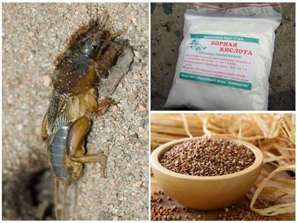 1. Укрепление почвы