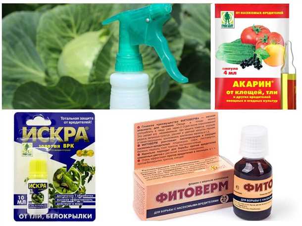 2. Предотвращение заражения