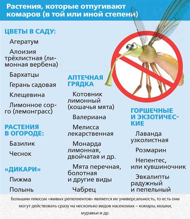 Плотоядные виды