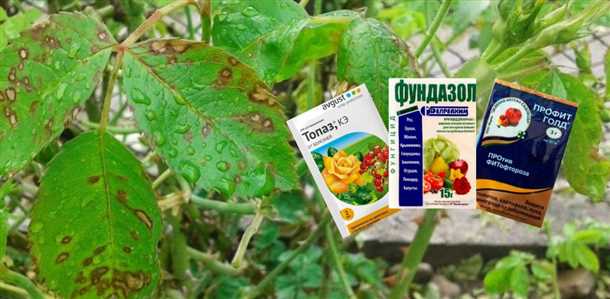 2. Механические меры