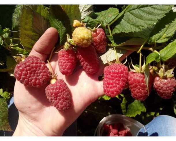 Шаг 1: Подготовка инструментов