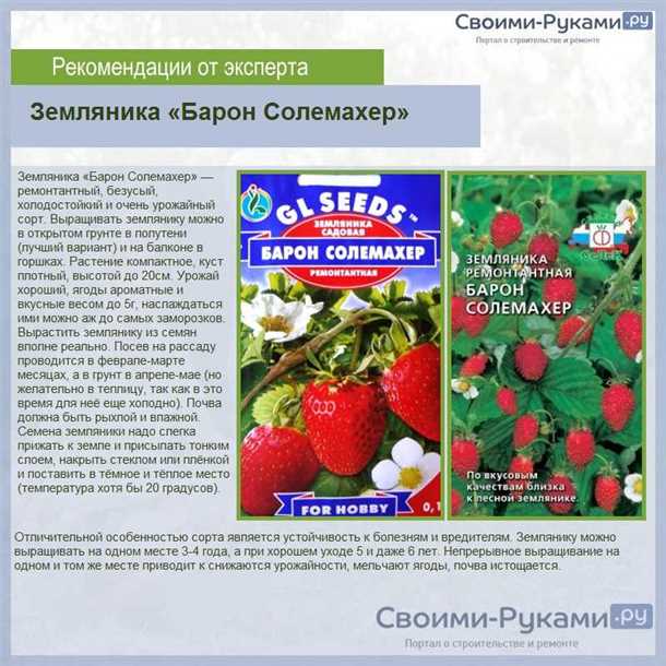 Технология размножения