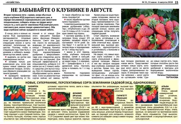 Подготовка почвы