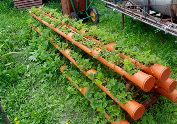 Подготовка к зиме