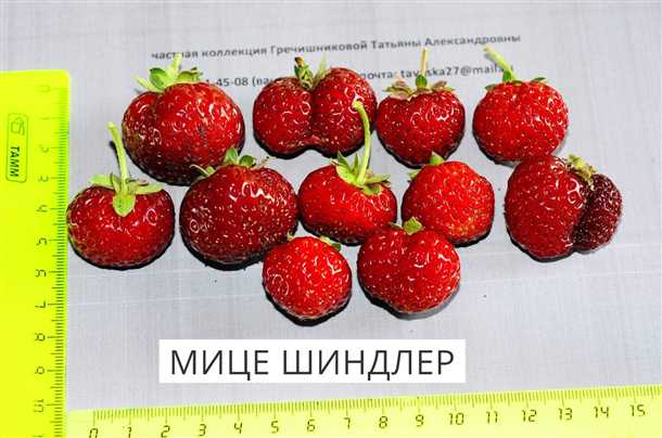 Отзывы садоводов