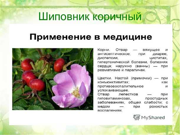 2. Внешнее применение: