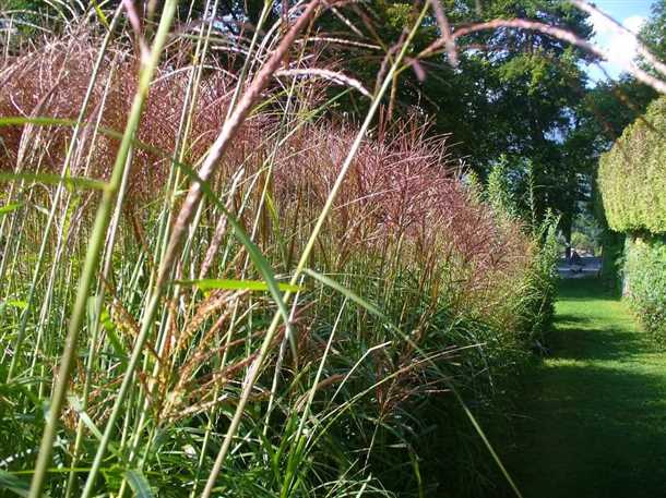 Климатические требования