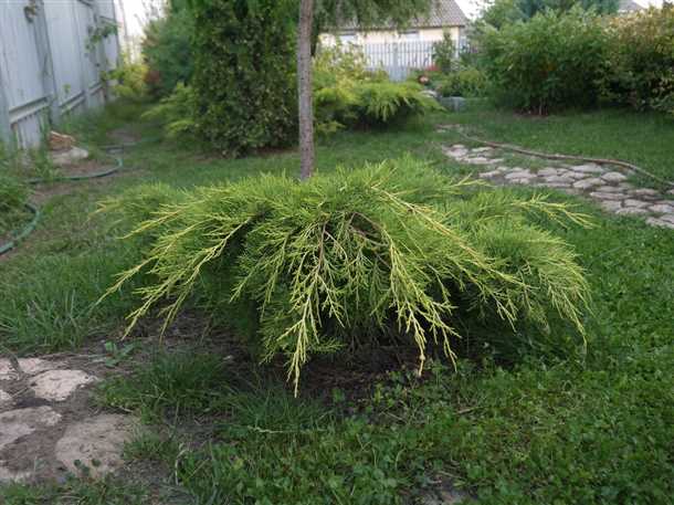 Надежность и долговечность