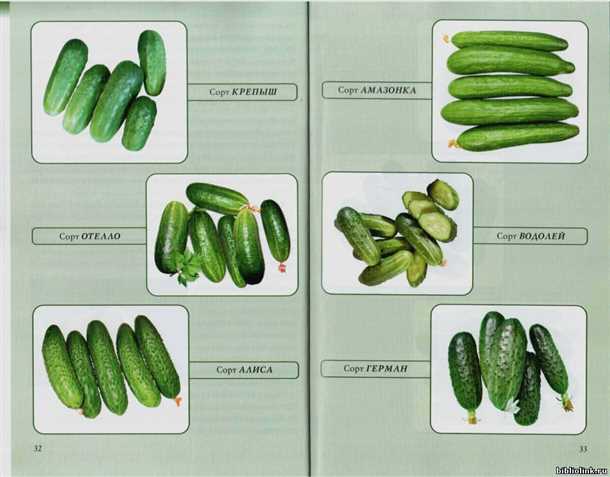 Шаг 4: Уход за посадками