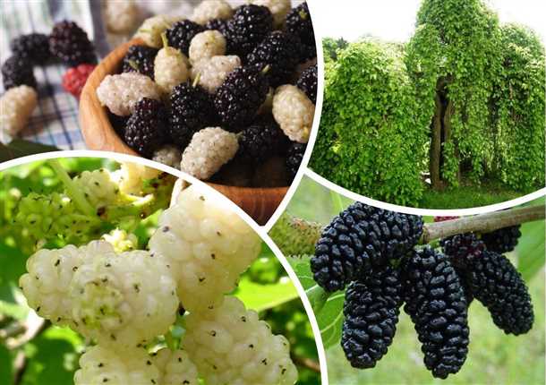 Правила посадки