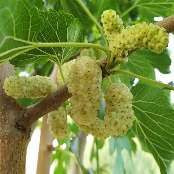 Правила посадки