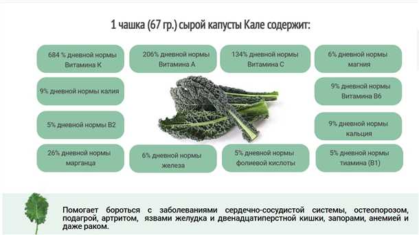 Фото 1: Свежая и красивая капуста «Кале»