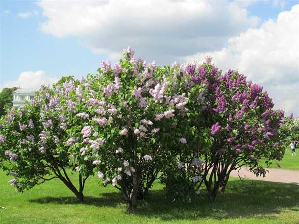 Выбор места